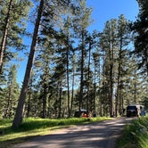 Review photo of Sheridan Lake South Shore Campground by Darcy S., July 29, 2023