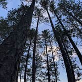 Review photo of Sheridan Lake South Shore Campground by Darcy S., July 29, 2023