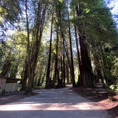 Review photo of Paul M. Demmick Campground — Navarro River Redwoods State Park by L , July 29, 2023