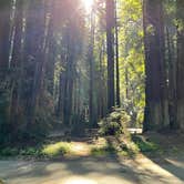 Review photo of Paul M. Demmick Campground — Navarro River Redwoods State Park by L , July 29, 2023