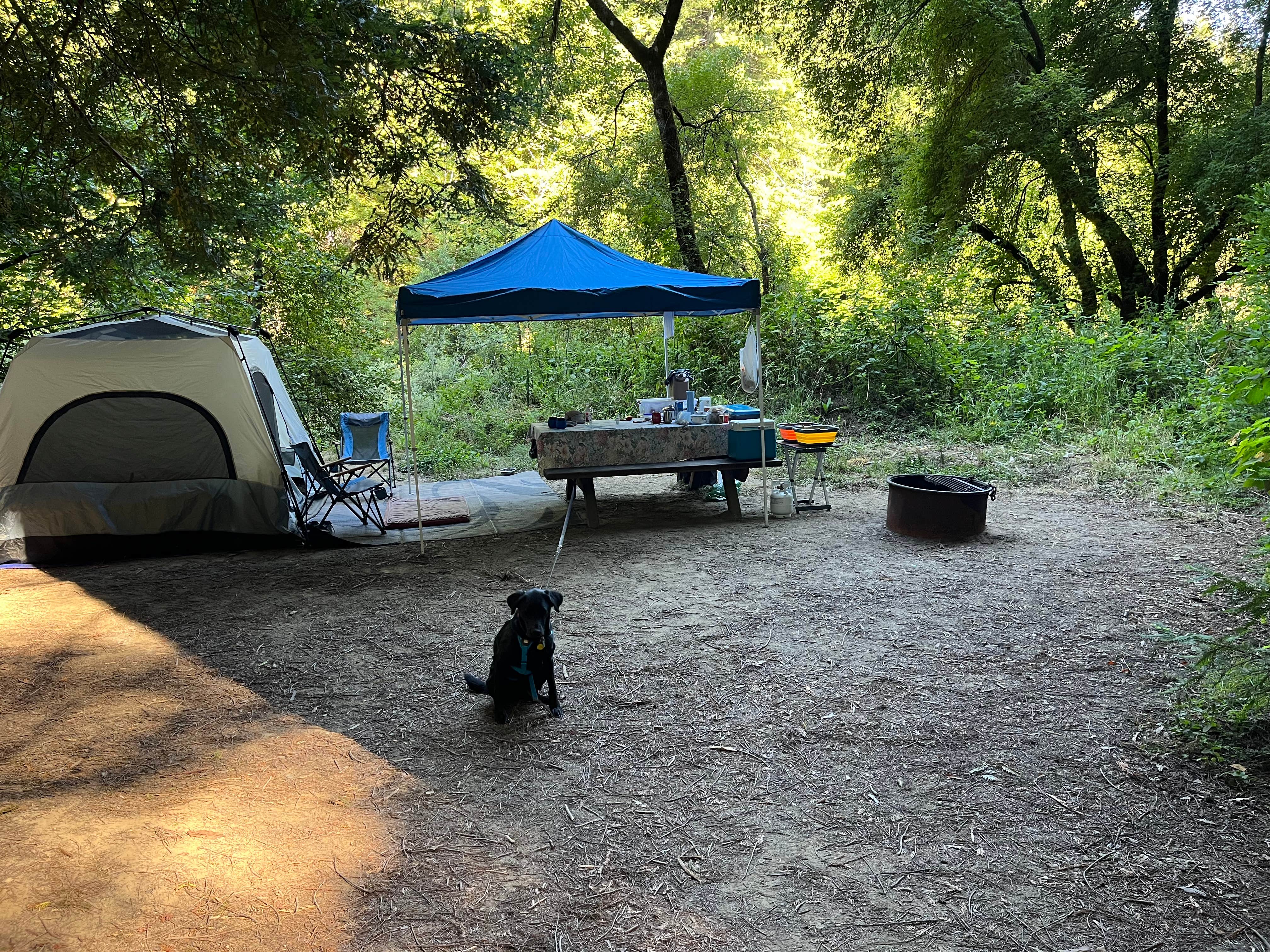 Camper-submitted photo at Paul M. Demmick Campground — Navarro River Redwoods State Park near Albion, CA