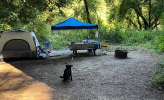 L's photo of camping with pets at Paul M. Demmick Campground — Navarro River Redwoods State Park near Potter Valley, CA
