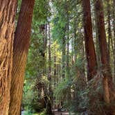 Review photo of Paul M. Demmick Campground — Navarro River Redwoods State Park by L , July 29, 2023