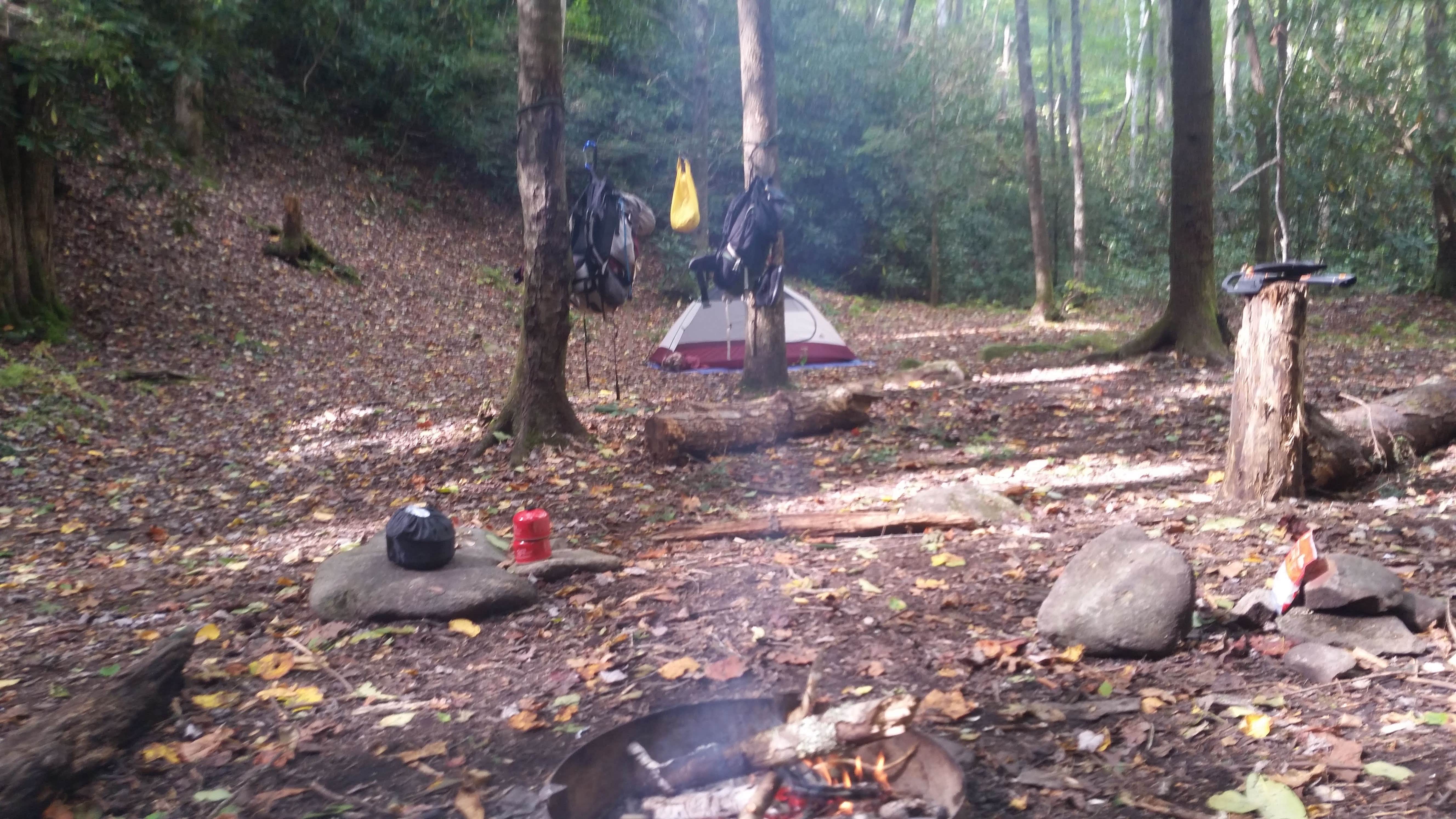 Kristin M.'s photo at Bote Mountain Campsite 18 — Great Smoky Mountains National Park near Townsend, TN