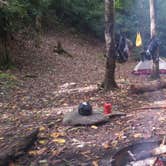 Review photo of Bote Mountain Campsite 18 — Great Smoky Mountains National Park by Kristin M., October 25, 2018