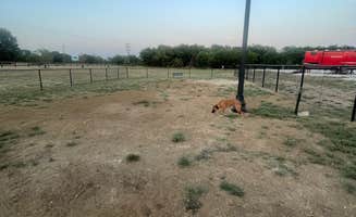 Stephanie P.'s photo of camping with pets at Lake Point RV Resort near Flower Mound, TX