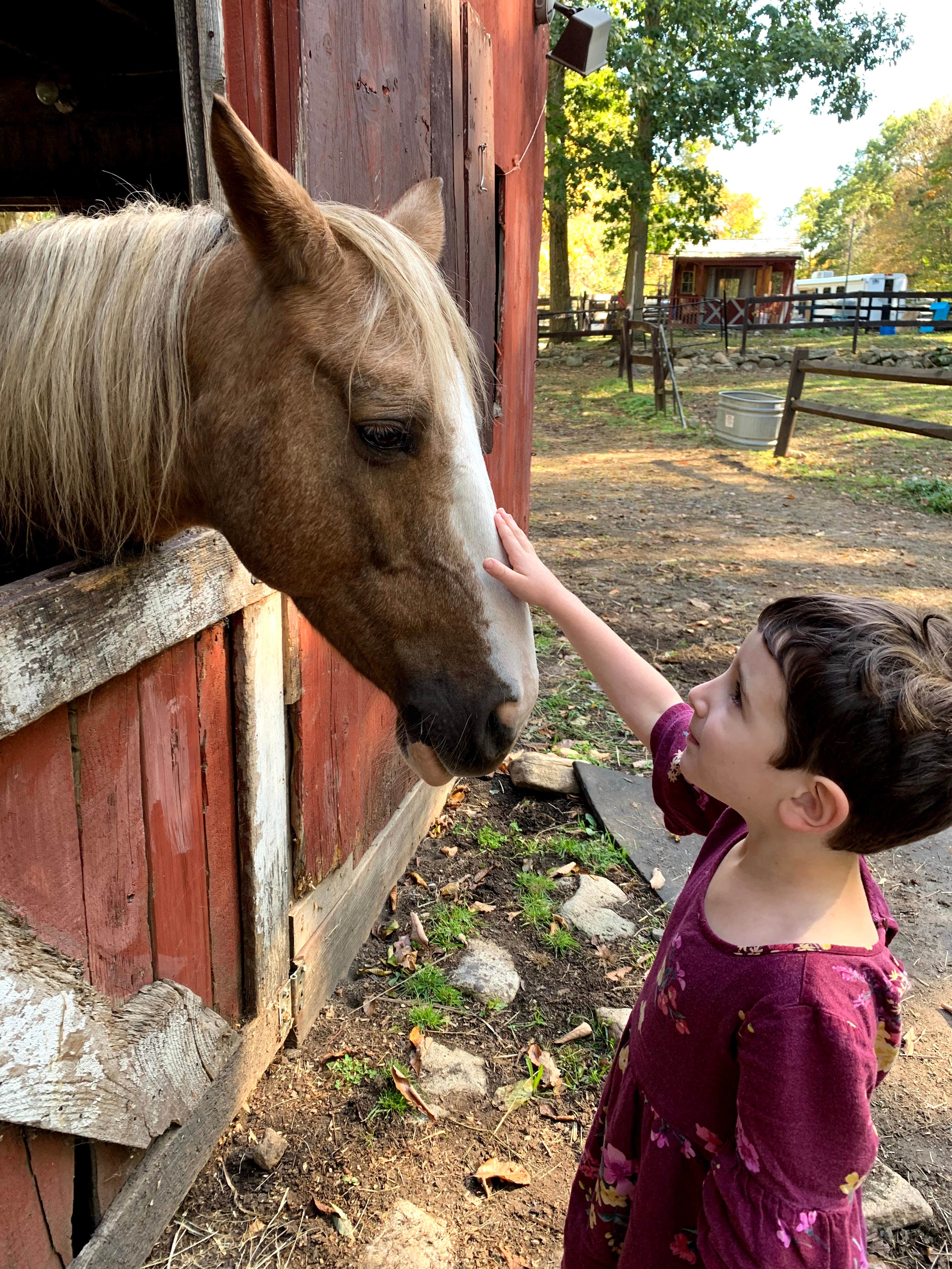 Hidden Lake Farm Camping Higganum, CT