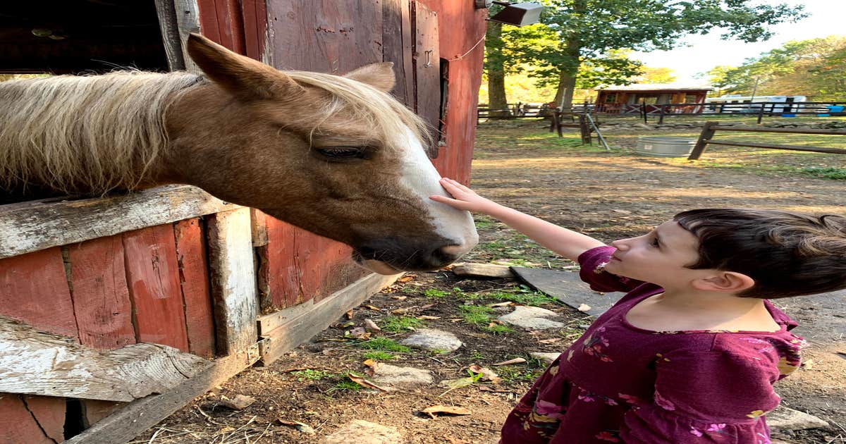Hidden Lake Farm Camping Higganum, CT