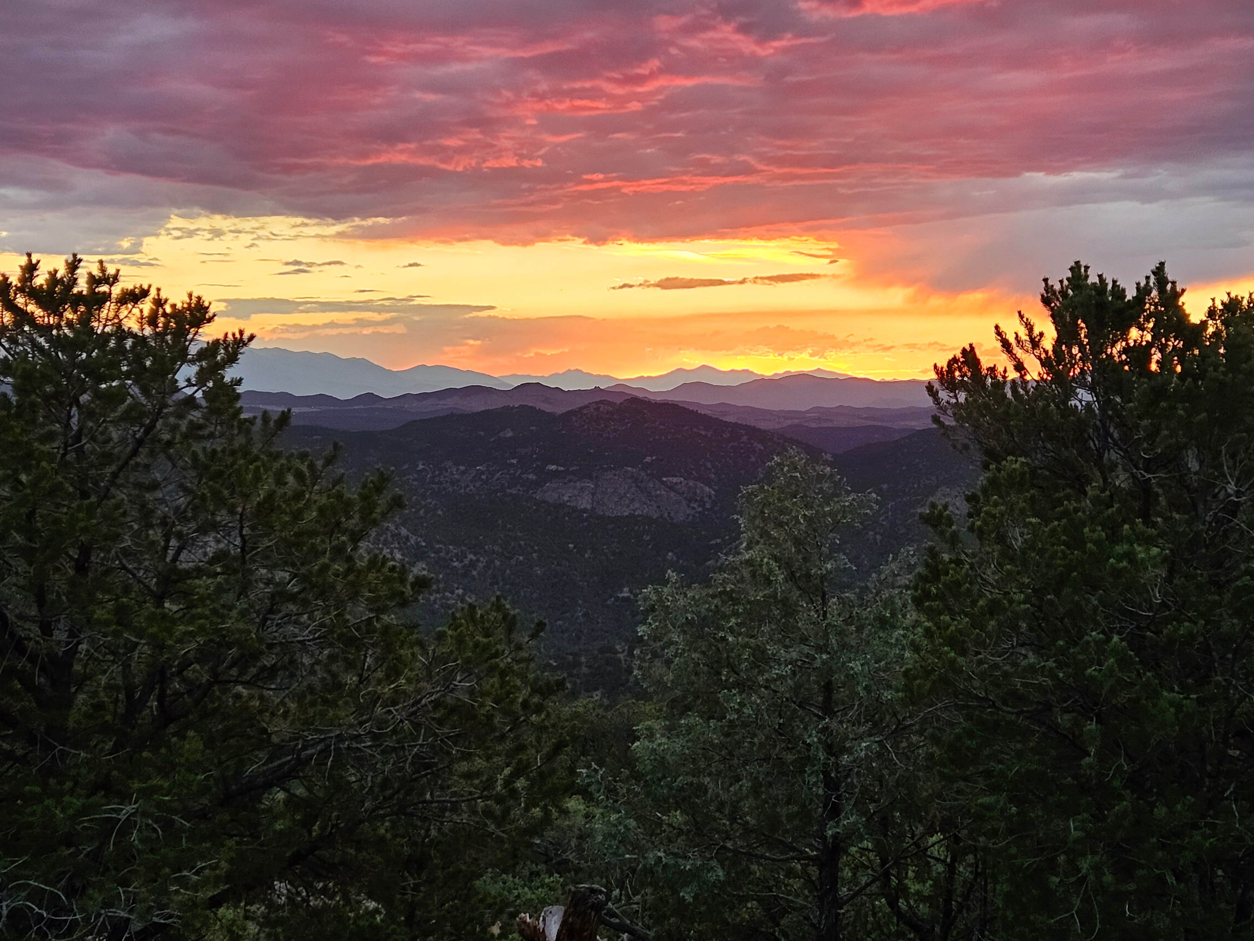 Camper submitted image from Tricki's (Travis and Vicki) Glamping under the stars - 1