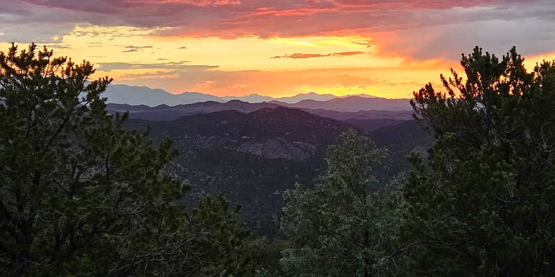 Camper submitted image from Tricki's (Travis and Vicki) Glamping under the stars
