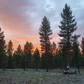 Review photo of Inyo National Forest Dispersed Camping by Tilda P., July 30, 2023