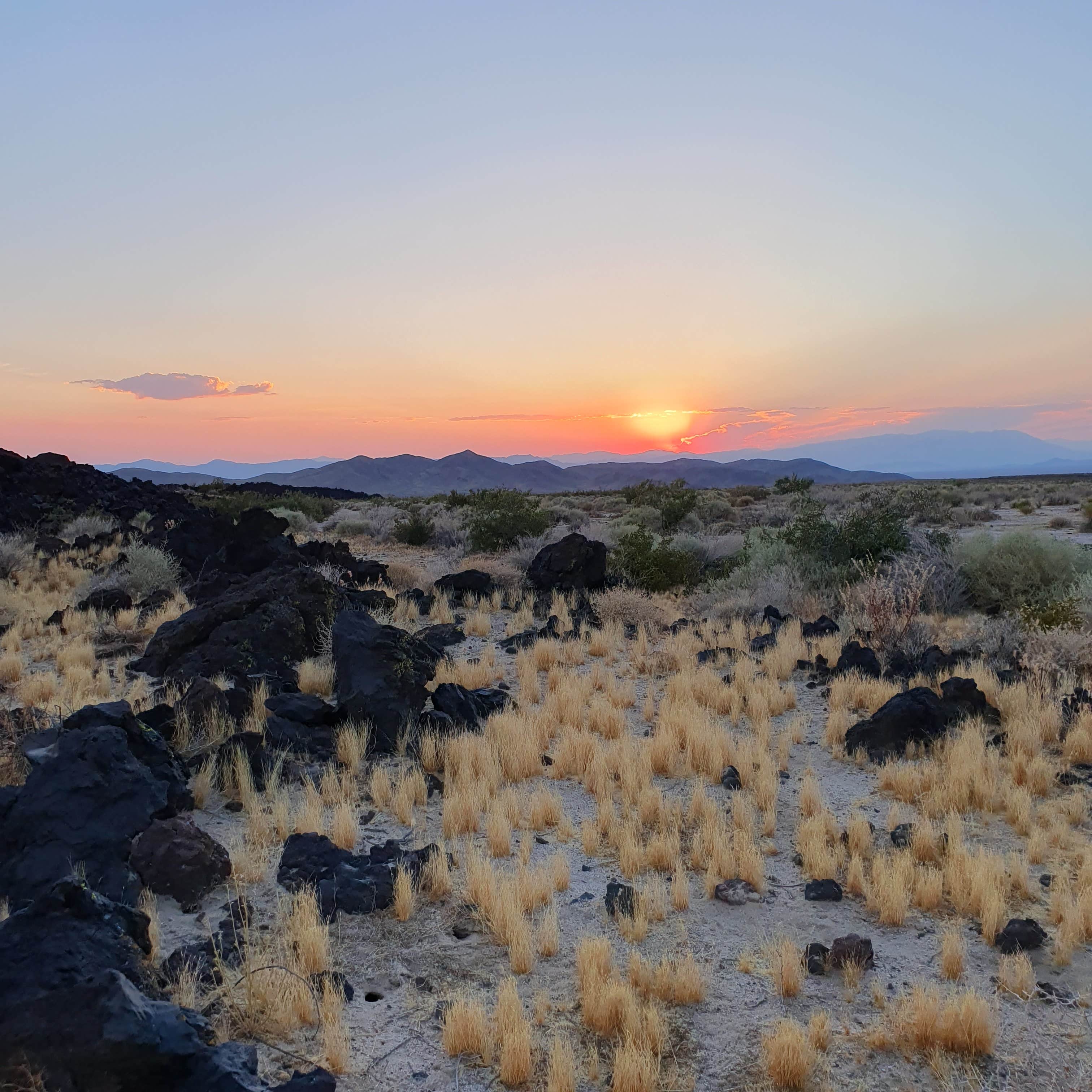 Camper-submitted photo at Indian Springs near lava field — Mojave National Preserve near Baker, CA