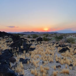 Indian Springs near lava field — Mojave National Preserve