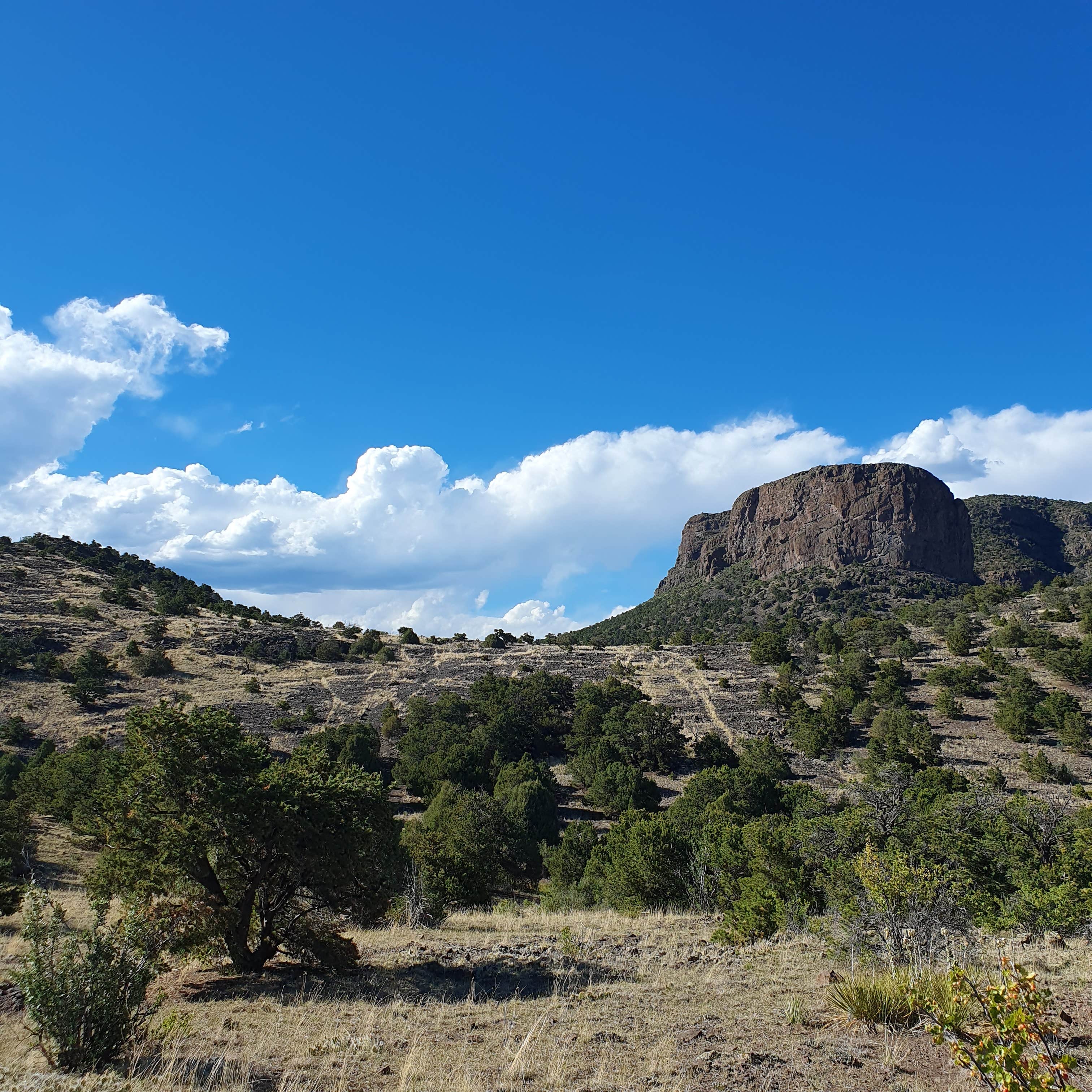 Tilda P.'s photo of a dispersed camping area at Natural Arch Dispersed Site near Monte Vista, CO