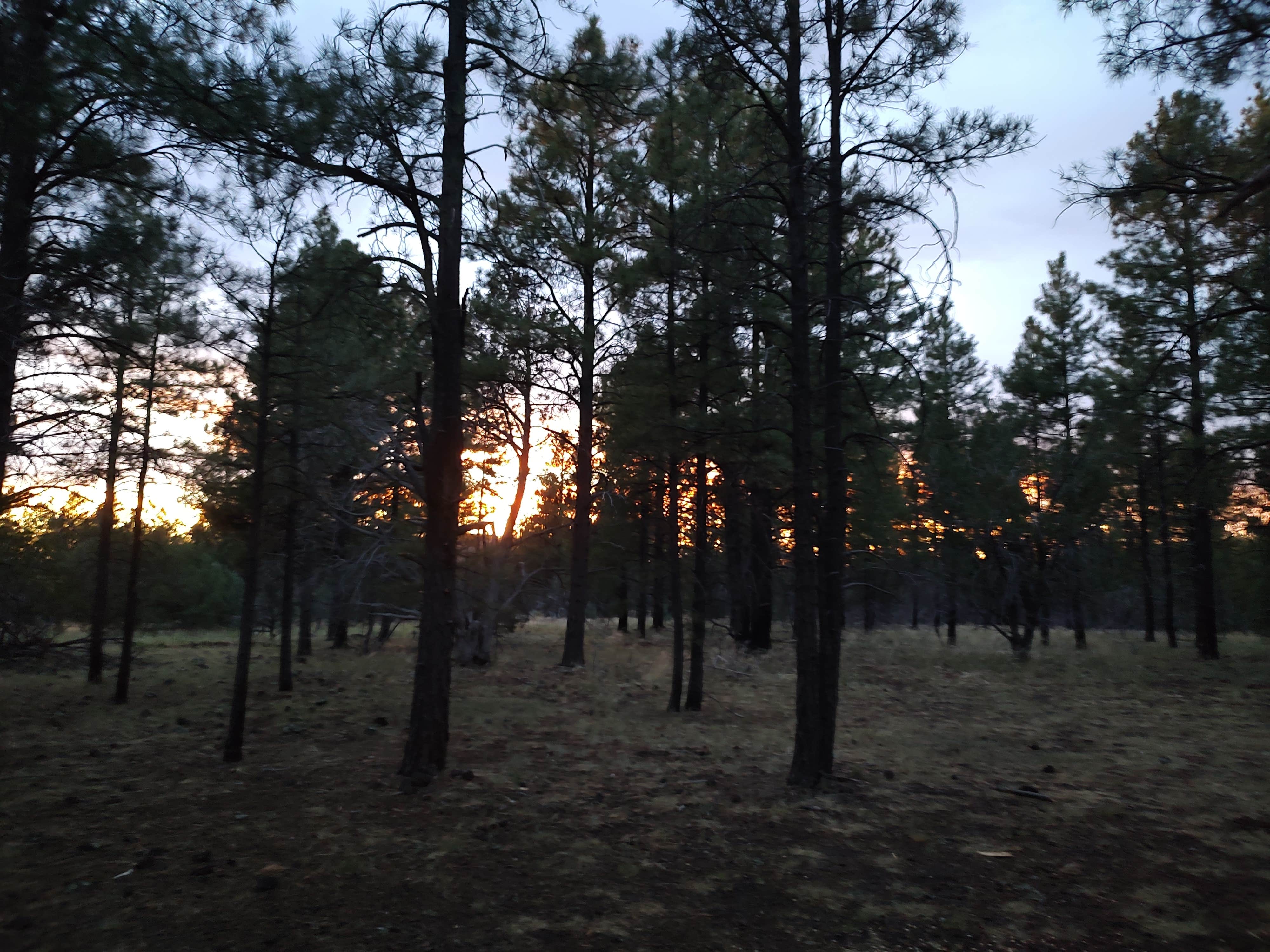 Camper-submitted photo at Garland Prairie Rd Dispersed Camping near Williams, AZ