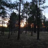 Review photo of Garland Prairie Rd Dispersed Camping by joel G., July 30, 2023