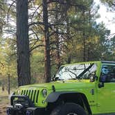 Review photo of Garland Prairie Rd Dispersed Camping by joel G., July 30, 2023