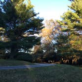 Review photo of Doughton Park Campground — Blue Ridge Parkway by Kelsey M., October 25, 2018