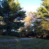 Review photo of Doughton Park Campground by Kelsey M., October 25, 2018