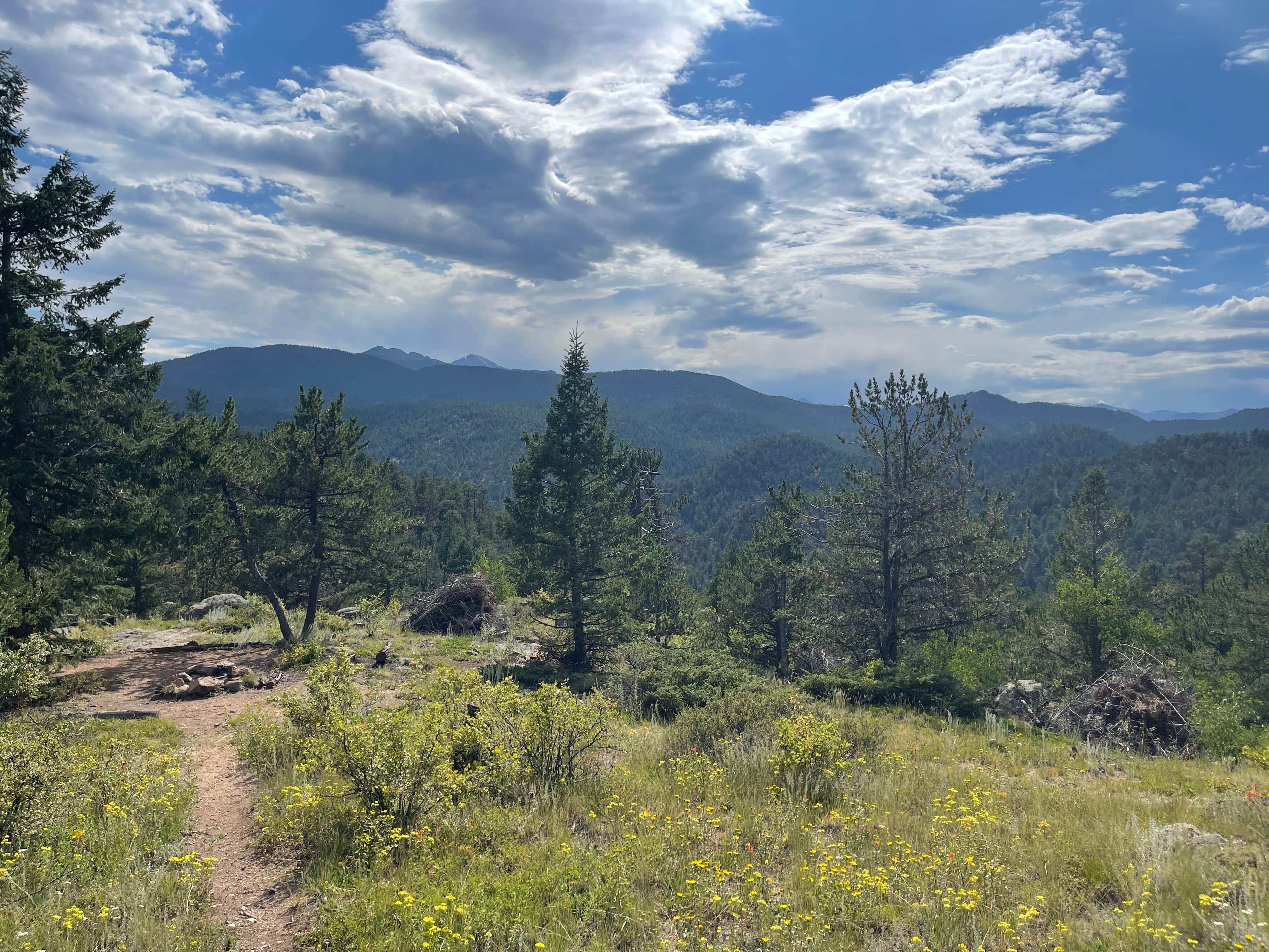 Dalton C.'s photo of a dispersed camping area at Hell Canyon Dispersed near Pinewood Springs, CO