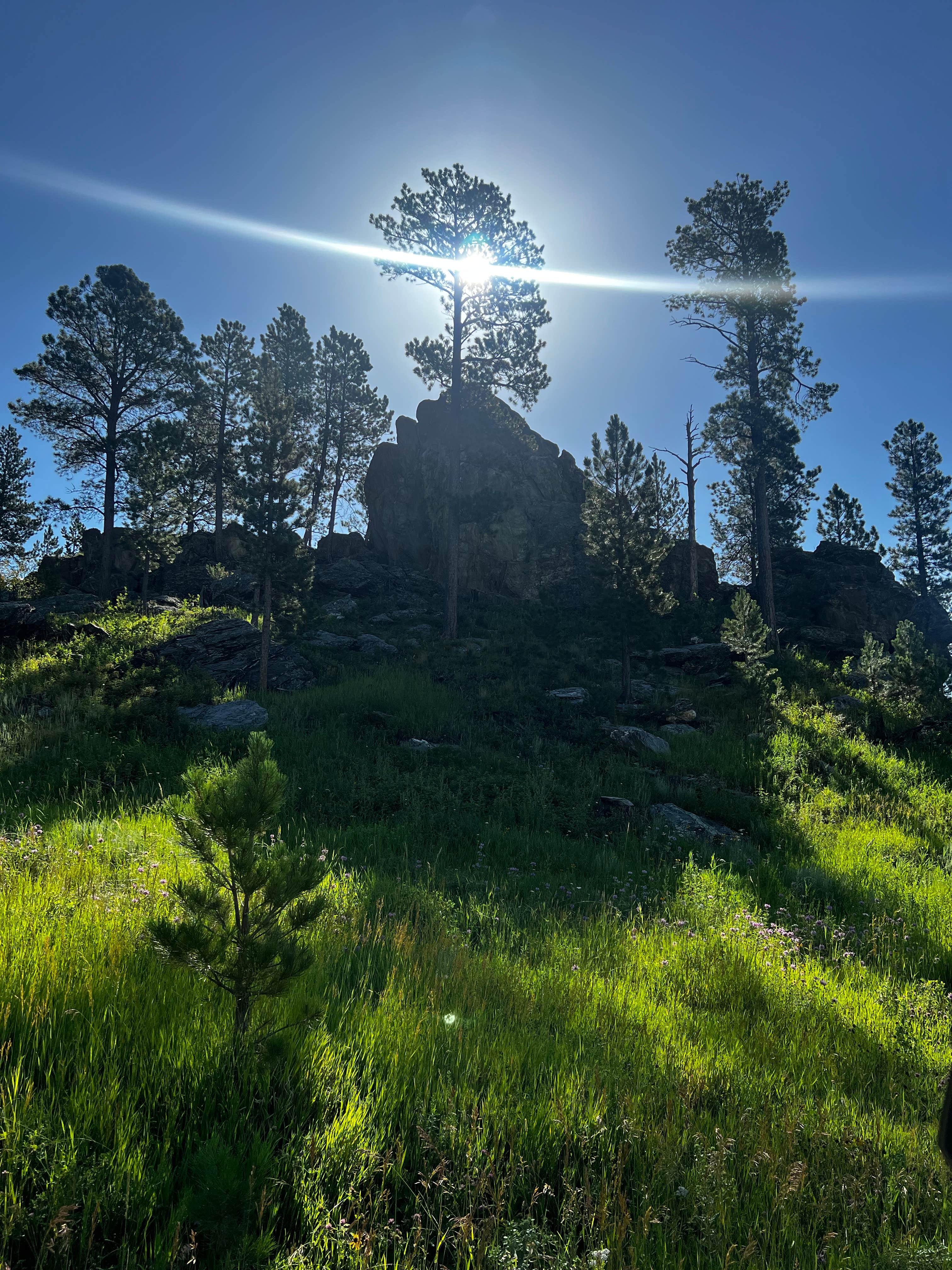 dale T.'s photo of a dispersed camping area at North Pole Rd Dispersed Camping near Keystone, SD