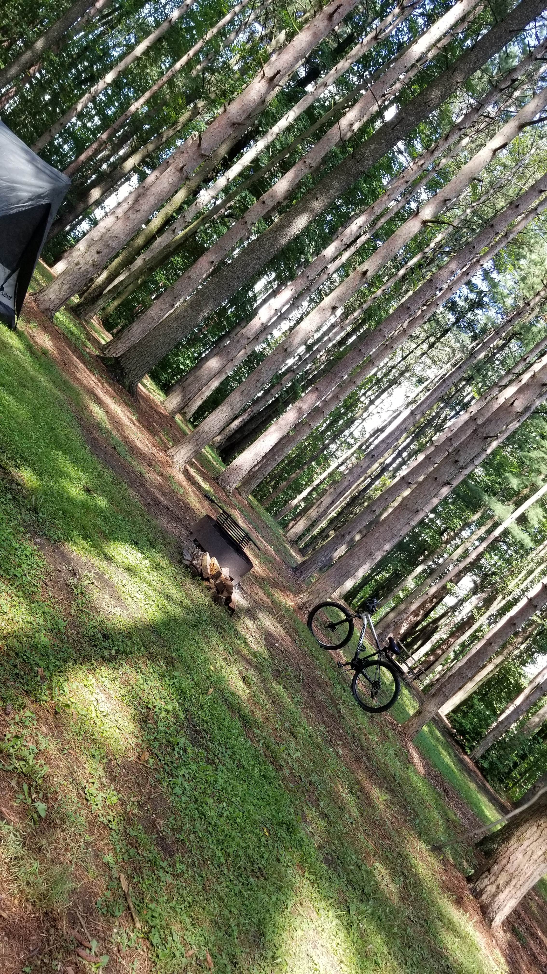 Adam S.'s photo at Beaver Creek State Park Campground near Salem, OH