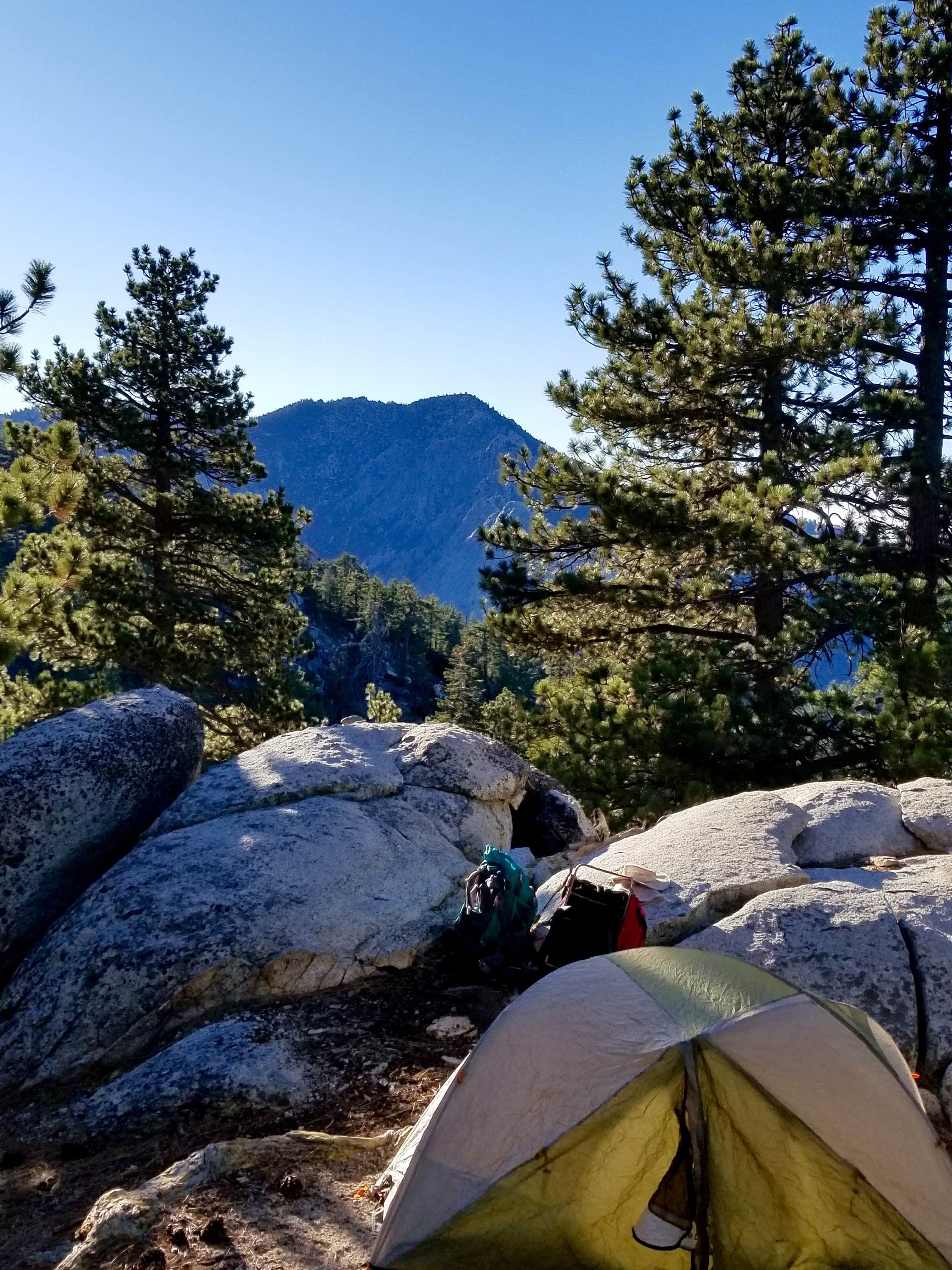 Camper submitted image from Strawberry Junction — Mount San Jacinto State Park - 2