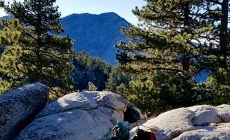 Alana H.'s photo at Strawberry Junction — Mount San Jacinto State Park near Rancho Mirage, CA