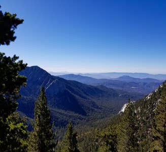 Camper-submitted photo from Strawberry Junction — Mount San Jacinto State Park
