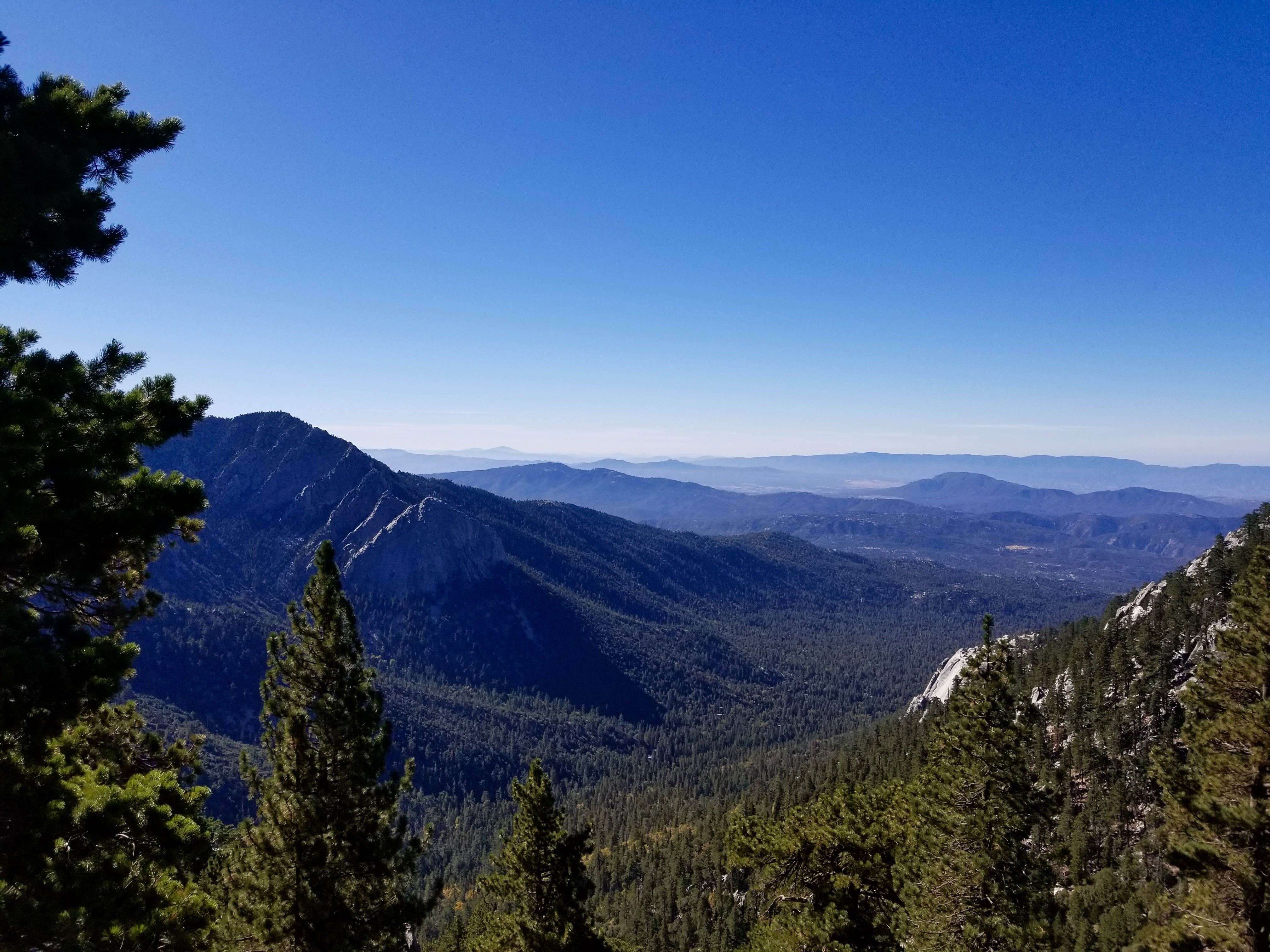 Camper submitted image from Strawberry Junction — Mount San Jacinto State Park - 1