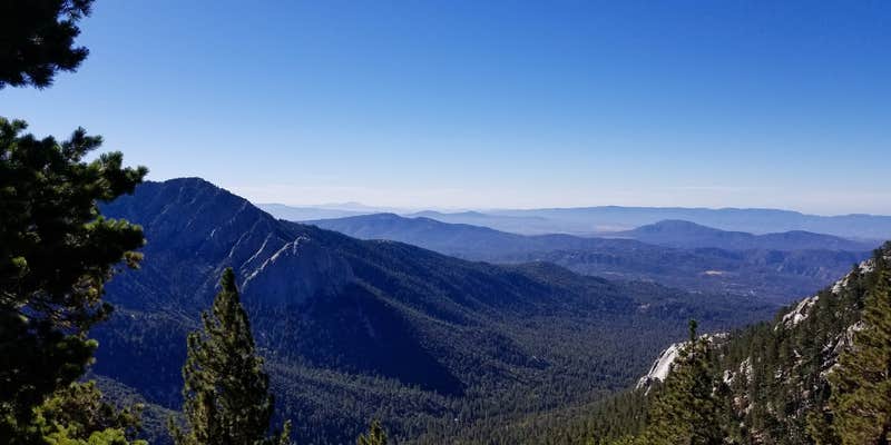Camper submitted image from Strawberry Junction — Mount San Jacinto State Park