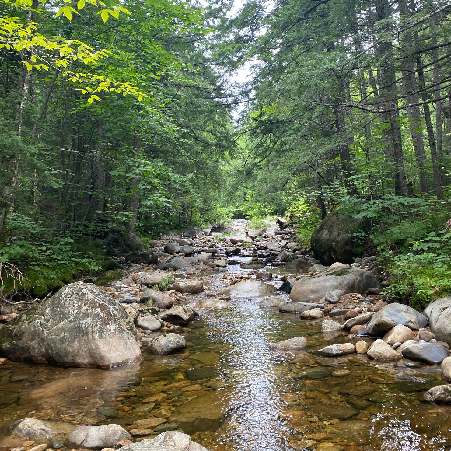 Town Hall Road Dispersed Camping The Dyrt