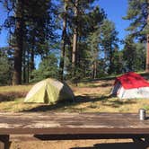 Review photo of El Prado Campground by Alana H., October 25, 2018