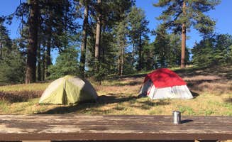 Alana H.'s photo at El Prado Campground near Guatay, CA
