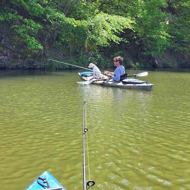 Salacoa Creek Park Camping | Ranger, GA