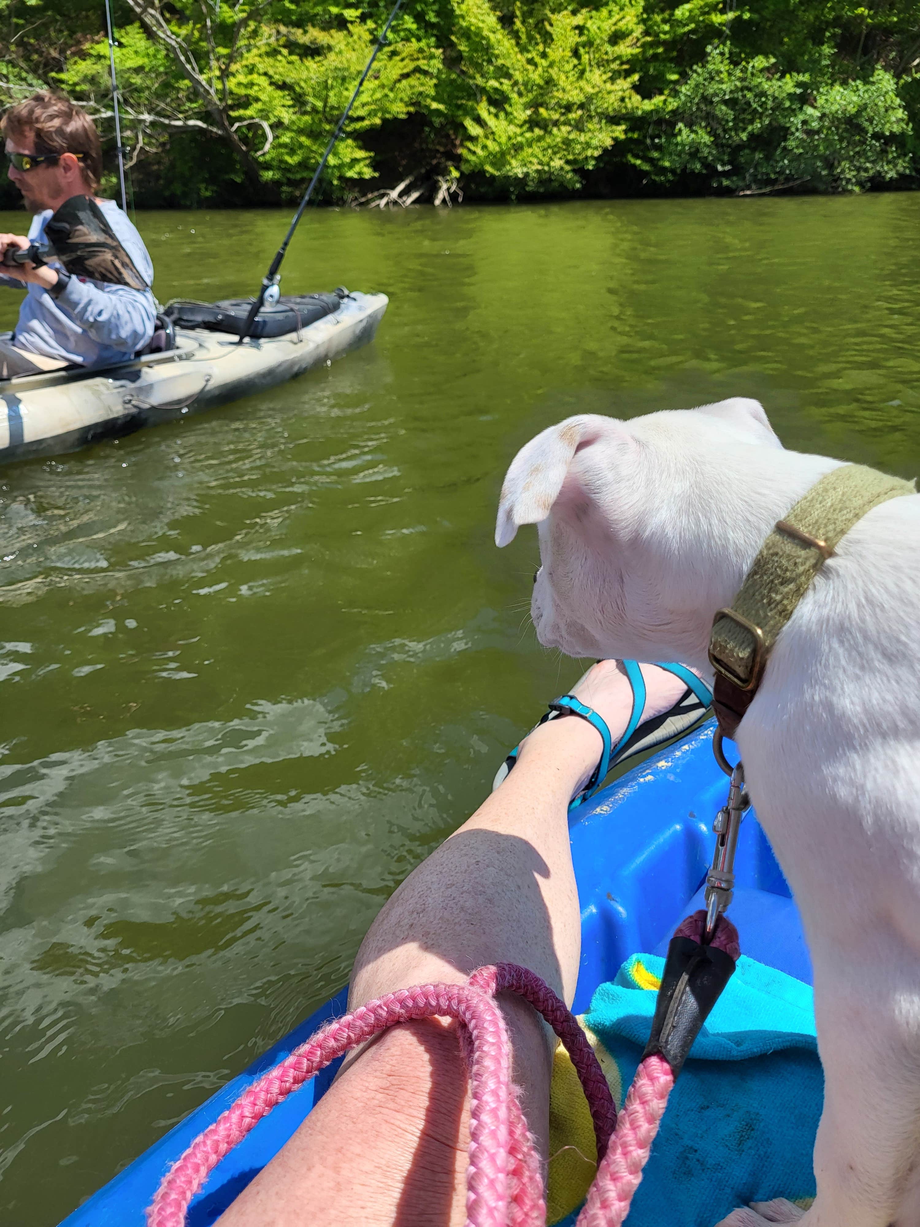 Angel N.'s photo of camping with pets at Salacoa Creek Park near Acworth, GA