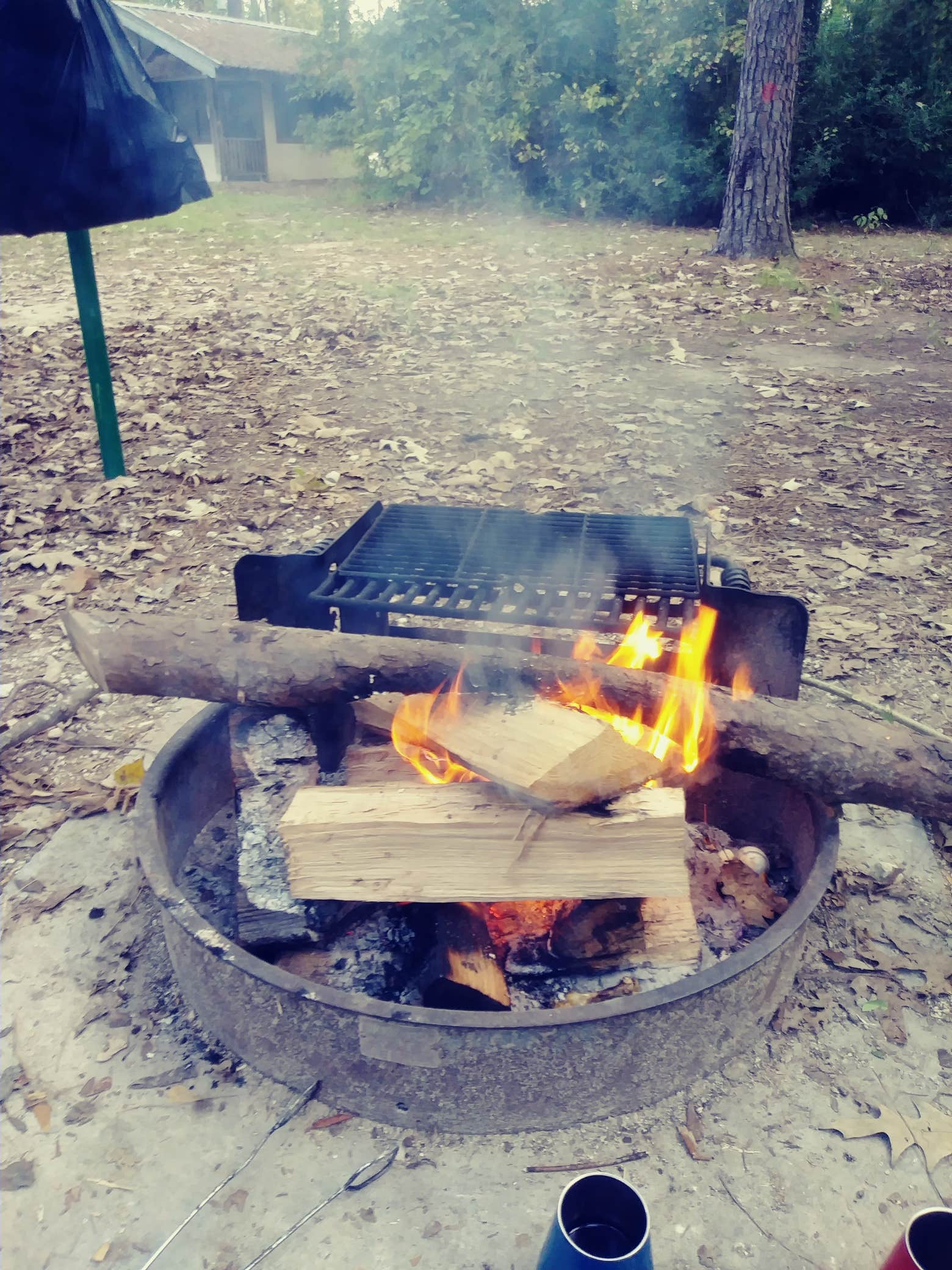 David T.'s photo at Hanks Creek near Angelina National Forest