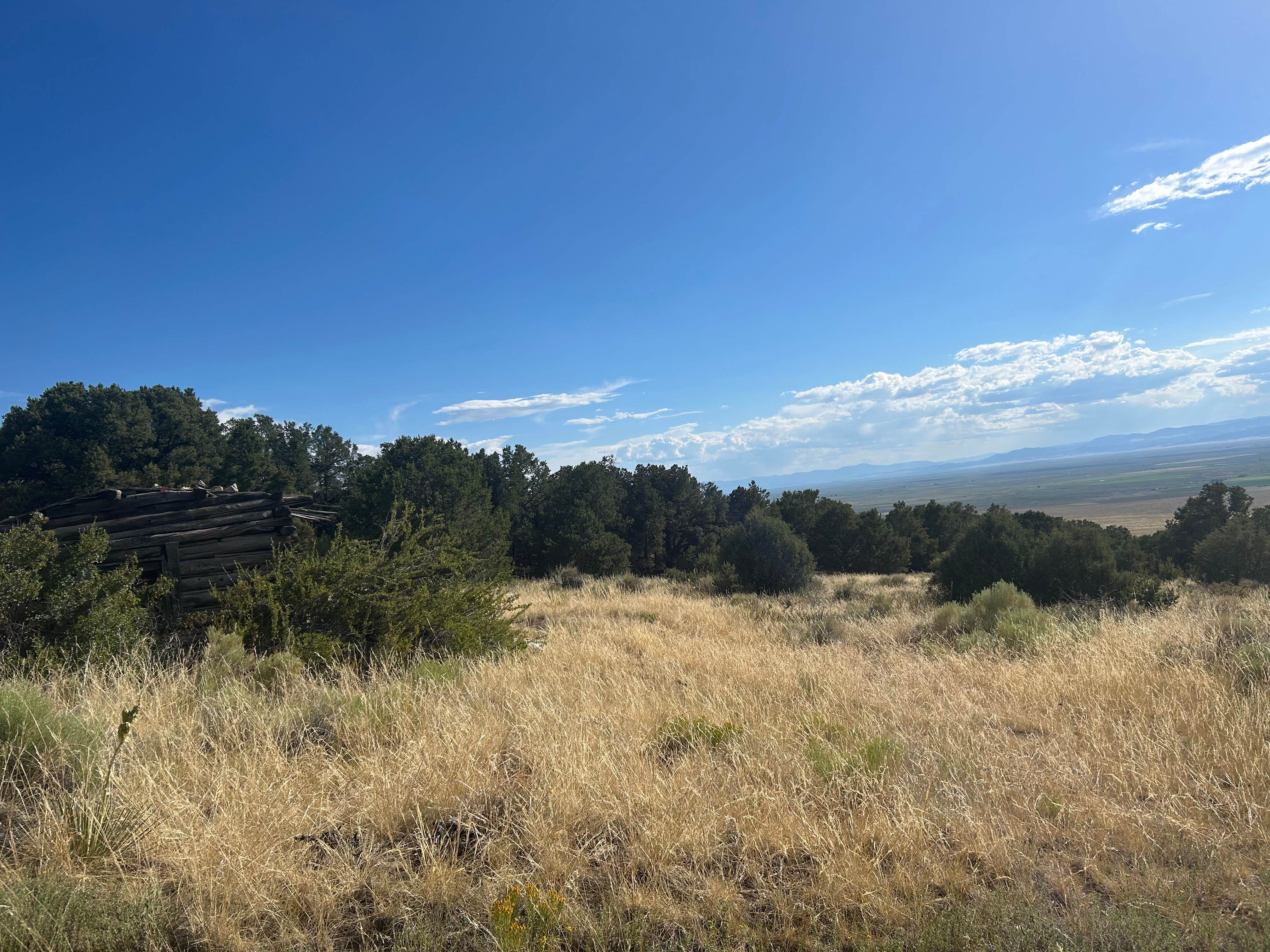 Camper-submitted photo at Cotton Creek Trailhead near Mosca, CO