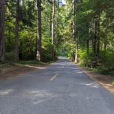 Review photo of Millersylvania State Park Campground by Kelly P., July 30, 2023