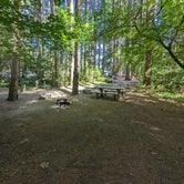 Review photo of Millersylvania State Park Campground by Kelly P., July 30, 2023