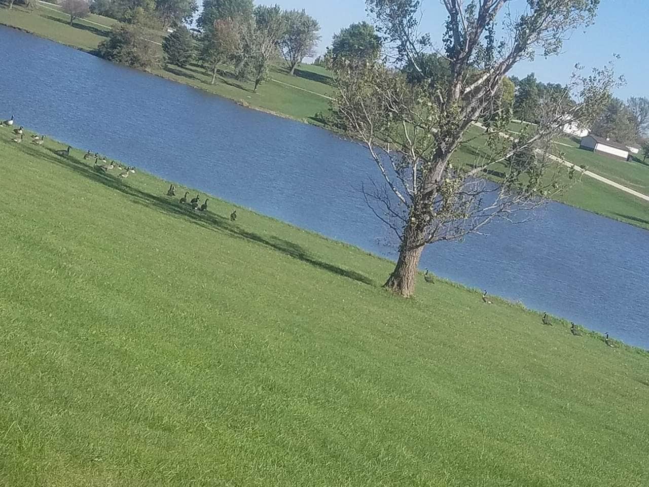 Camper-submitted photo at Windmill Lake Co Park near Villisca, IA