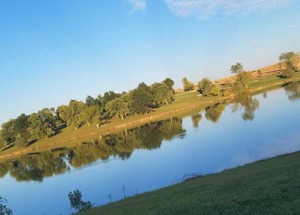 View All