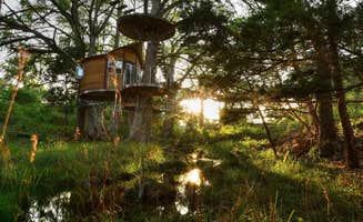 The Dyrt's photo of a cabin at Cypress Valley near Buffalo Gap, TX