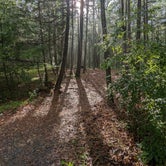 Review photo of Pine Grove Furnace State Park Campground by Alex S., July 31, 2023