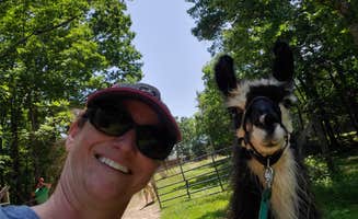 Llamas on the Loose F.'s photo of camping with pets at Llamas on the Loose Farm near Dallas, GA
