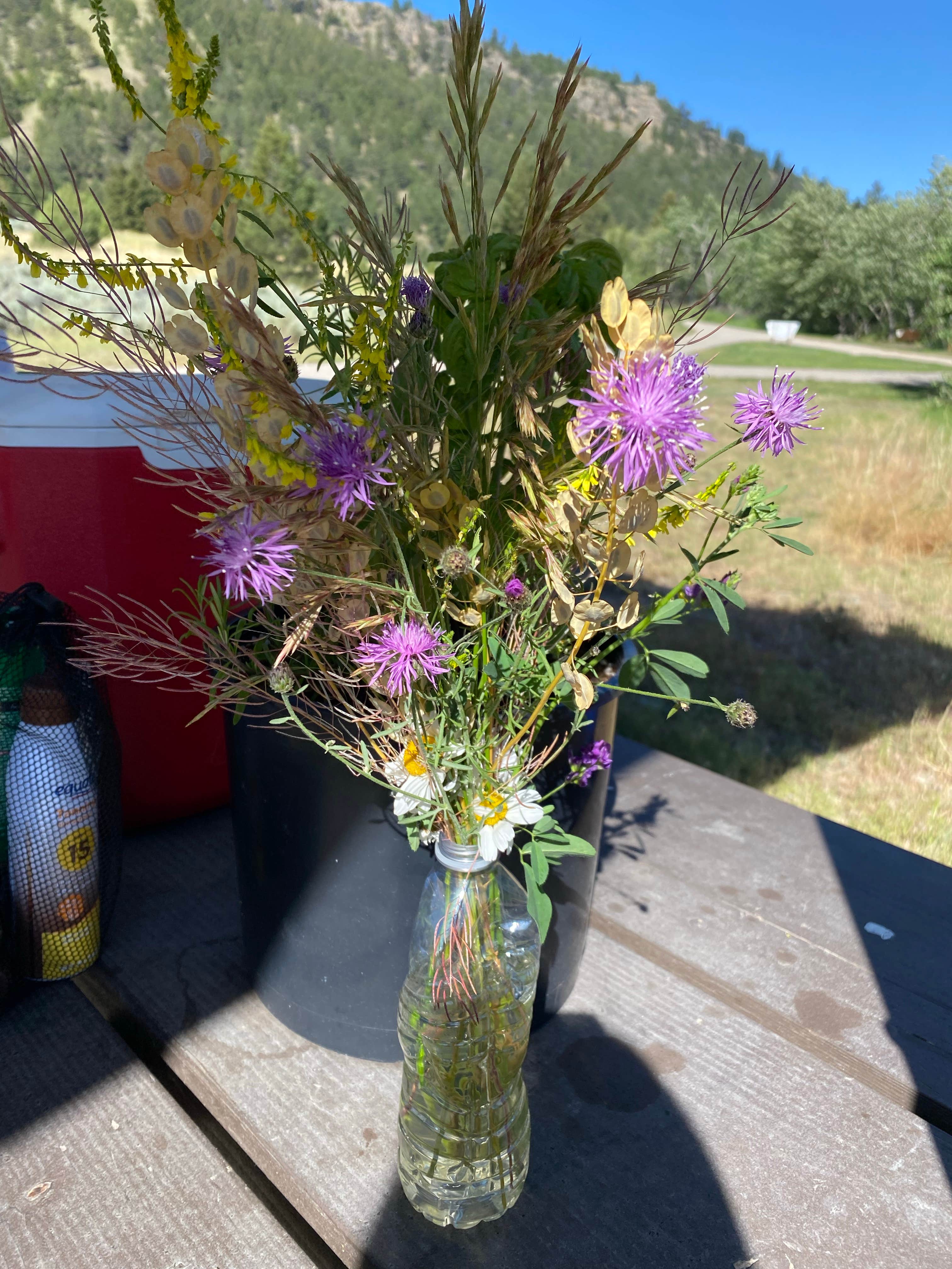 Divide Bridge Campground