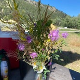 Review photo of Divide Bridge Campground by linda , July 31, 2023
