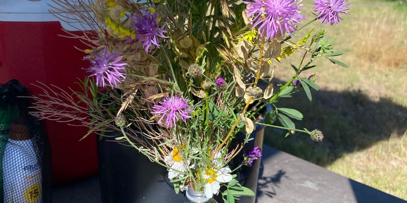 Camper submitted image from Divide Bridge Campground