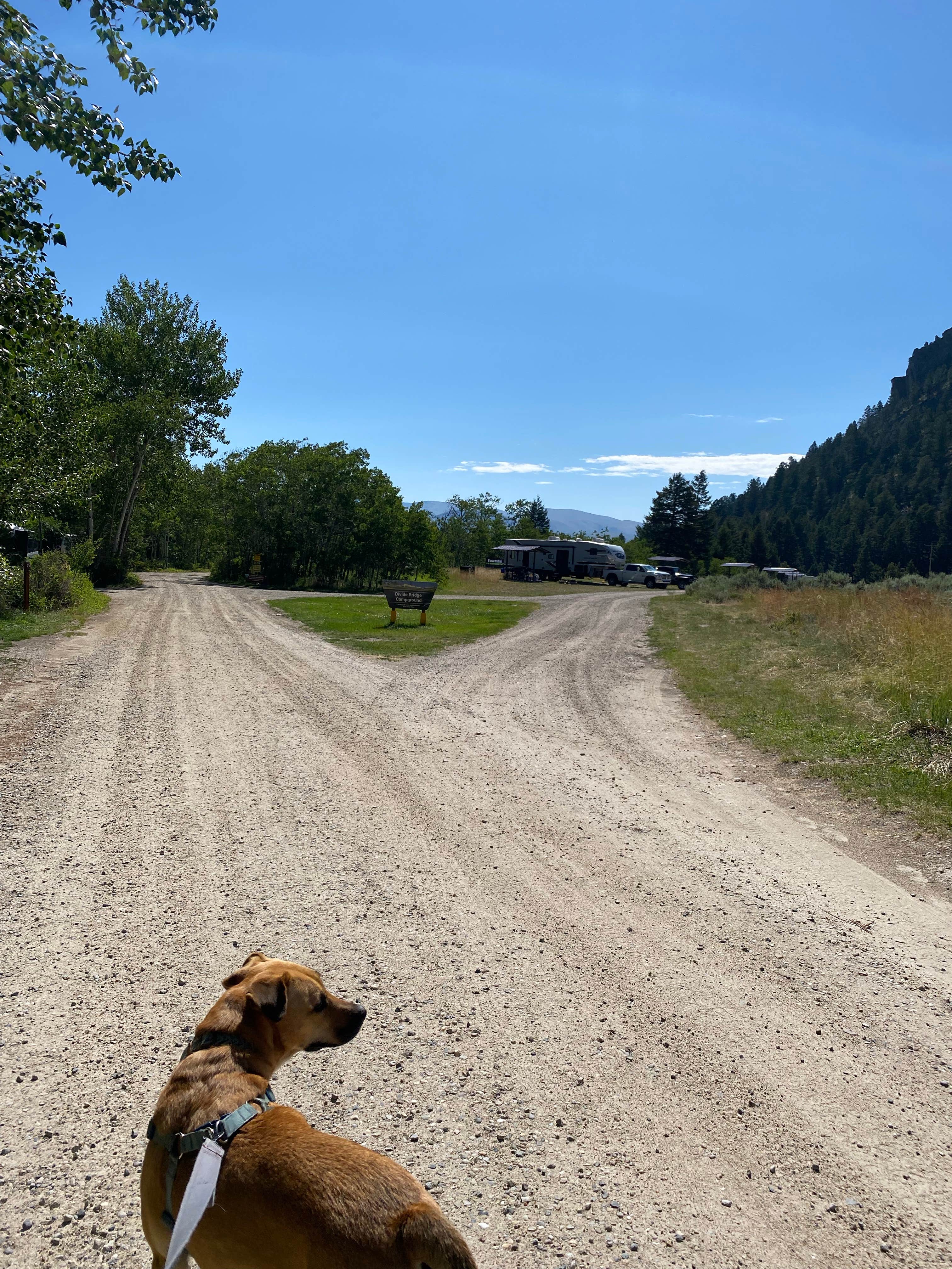 Camper-submitted photo at Divide Bridge Campground near Beaverhead-Deerlodge National Forest