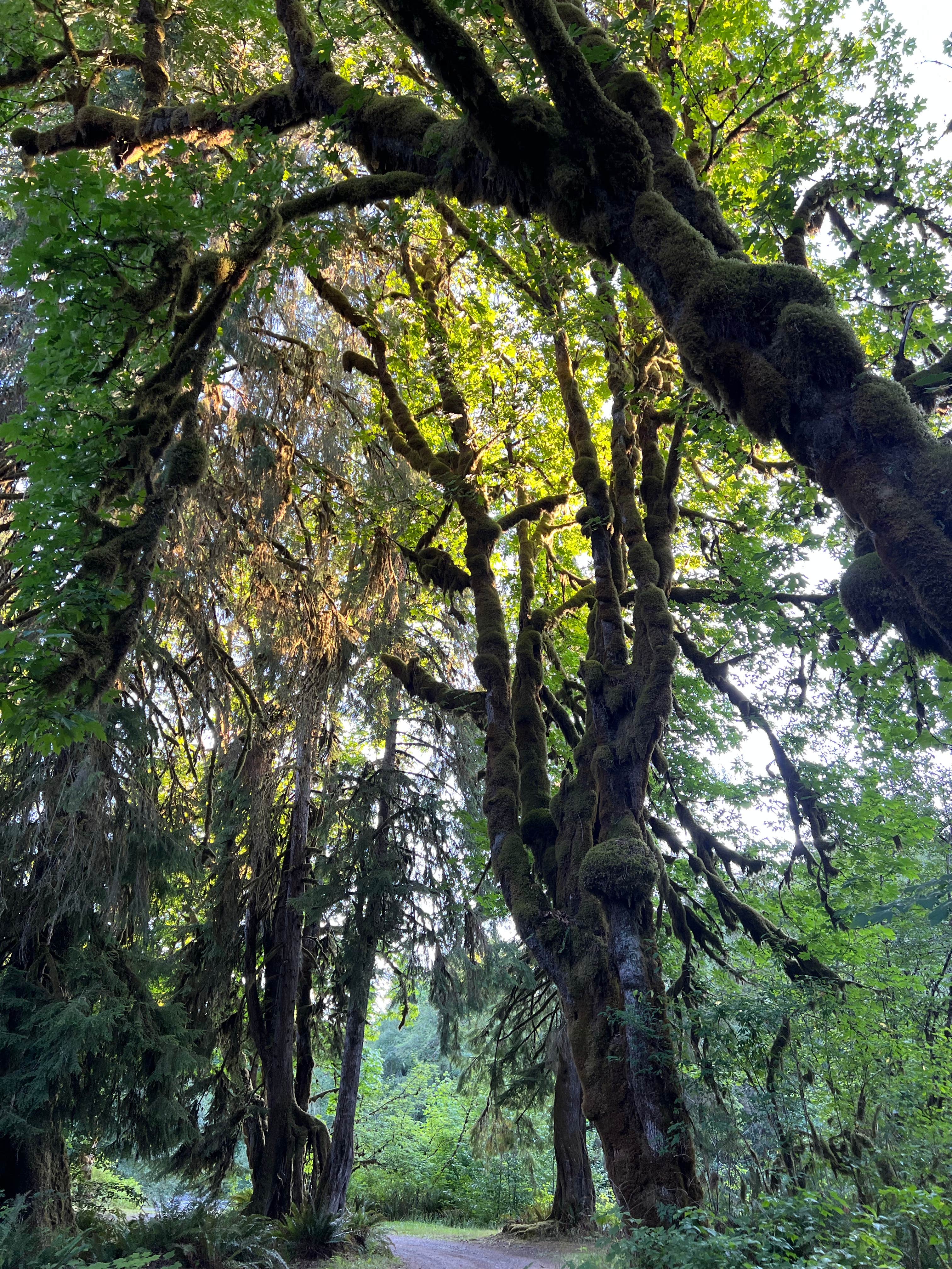 Camper-submitted photo at Masonic Family Park near Granite Falls, WA
